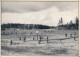 Ansichtskarte Gatow-Berlin Gatower Heide 1964 - Gatow