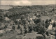 Ansichtskarte Leisnig Panorama-Ansicht 1964 - Leisnig