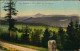 Ansichtskarte Masserberg Panorama-Ansicht - Am Rennsteig 1913 - Masserberg