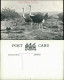 Postcard Pietermaritzburg South African Ostriches 1909 - South Africa