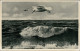 Ansichtskarte Wilhelmshaven Möwe Im Flug 1936  - Wilhelmshaven