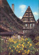 Ansichtskarte Dinkelsbühl Hezelhof Im Frühling 1978 - Dinkelsbühl