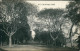 Postcard Tacna Avenue Cementerio Peru South America 1922 - Perú