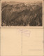 Ansichtskarte Oberstdorf (Allgäu) Gleitweg Mit Nebelhorn 1920 - Oberstdorf