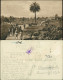 Postcard Adelaide Elder Park - Pavillon 1913 - Adelaide