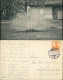 Ansichtskarte Potsdam Pfau Auf Der Pfaueninsel - Haus 1917 - Potsdam
