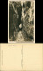 Hohnstein (Sächs. Schweiz) Wolfsschlucht, Sächs. Schweiz 1928 Walter Hahn:3291 - Hohnstein (Saechs. Schweiz)