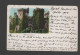 CPA - Royaume-Uni - Raglan Castle - Circulée En 1902 - Monmouthshire