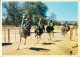 Postcard Oudtshoorn Ostriches Racing At Full Speed 1995 - South Africa
