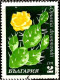 Bulgarie Poste Obl Yv:1770/1771 Fleurs De Cactus (cachet Rond) - Gebraucht