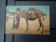 Cpa Couleur EGYPTIAN TYPES AND SCENES - Bedouin About The Start On A Journey. Belle Carte - Other & Unclassified
