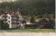 Ansichtskarte Bad Herrenalb Hotel Zur Post Coloriert 1905 - Bad Herrenalb