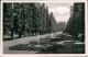 Ansichtskarte Bad Pyrmont Kuranlagen Kurpark Mit Springbrunnen-Allee 1953 - Bad Pyrmont