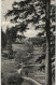 Ansichtskarte Altenau-Clausthal-Zellerfeld Blick Zur Schwefelquelle 1957 - Altenau