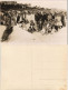 Foto Zinnowitz Strandleben, Vilen, Hotels 1928 Privatfoto Foto - Zinnowitz