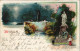 Litho AK Tiergarten-Berlin Litho - Nacht Goldfischteich Löwenbrücke 1902 - Tiergarten