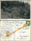 Ansichtskarte Altenau-Clausthal-Zellerfeld Müttererholungsheim Im Wald 1959 - Altenau