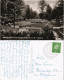 Ansichtskarte Klosterreichenbach-Baiersbronn Partie Im Kurpark Kurgarten 1959 - Baiersbronn
