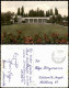 Ansichtskarte Bad Dürkheim Partie An Der Trinkhalle 1956 - Bad Duerkheim