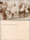 Soziales Leben: Familienfoto, Junge Führt Pferd Der Kutsche 1910 Privatfoto - Gruppi Di Bambini & Famiglie