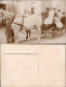 Soziales Leben: Familienfoto, Junge Führt Pferd Der Kutsche 1910 Privatfoto - Groupes D'enfants & Familles