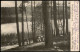 Ansichtskarte Grunewald-Berlin Partie Am Hundekehlensee 1905 - Grunewald