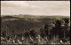 Hohegeiß-Braunlage Panorama Hochharz Blick Vom Spitzenberg 1960 - Braunlage