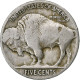 États-Unis, 5 Cents, Buffalo Nickel, 1924, Philadelphie, Cupro-nickel, TB - 1913-1938: Buffalo