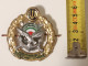 Delcampe - Persian, Iran , Iranian Badge Of The Iran Army  Infantry Force   نشان نیروی زمینی ارتش - Heer