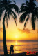 Barbados Allgemein Romantic Sunset Palmen Sonnen-Untergang Barbados Karibik 1990 - Barbados