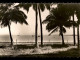 GUINEE - CONAKRY - UNE VUE DE LA CORNICHE - Guinée