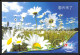 2447 Espace (space Raumfahrt) Lot De 2 Entier Postal (Stamped Stationery) Chine (china) 6/6/2008 - Asia