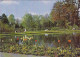 AK 212983 GERMANY - Bad Pyrmont - Partie Im Kurpark - Bad Pyrmont