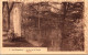 15-4-2024 (2 Z 8) France (posted In 1943) Tombes Dans Parc Du Colombier (arbres) - Alberi