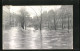 AK Nürnberg, Hochwasser-Katastrophe 5. Februar 1909, Maxplatz  - Inundaciones