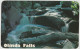 Australia VICTORIA VIC Waterfall State Forest OLINDA Dandenong Ranges Postcard C1970s - Melbourne