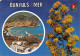 66-BANYULS SUR MER-N°3709-B/0037 - Banyuls Sur Mer