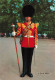 MILITARIA - Personnages - A Drum Major - Carte Postale - Characters