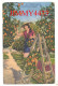 CPA - CÔTE D'AZUR En 1930 - Cueillette Des Oranges - N° 517 - R M - Phot-Edit. D'Art MUNIER à NICE - Landwirtschaftl. Anbau