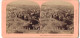Stereo-Foto B. W. Kilburn, Littleton, Ansicht Rom, Granest View Of All From The Dome Of St. Peter  - Stereo-Photographie