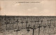 N°1157 Z -cpa Courcelette -le Cimetière Militaire- - Oorlogsbegraafplaatsen