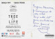 Cinema - Affiche De Film - The Tree Of Life - L'arbre De Vie - CPM - Voir Scans Recto-Verso - Posters On Cards