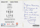 Cinema - Affiche De Film - The Tree Of Life - L'arbre De Vie - CPM - Voir Scans Recto-Verso - Affiches Sur Carte