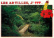 Antilles - West Indies - La Forêt Tropicale - Pont De Bois - Carte Neuve - CPM - Voir Scans Recto-Verso - Other & Unclassified