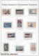 Delcampe - - TERRES AUSTRALES, 1948/2012, XX, N° 1/640 + Pa 1/150 + BF 1/26, En Album Yvert - Cote : 8150 € - Colecciones & Series