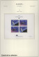 Delcampe - - EUROPA, 1956/1992, XX, Complet En 2 Albums Leuchtturm - Cote : 7200 € - Colecciones
