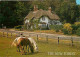 Animaux - Chevaux - Royaume-Uni - New Forest Cottage - CPM - UK - Voir Scans Recto-Verso - Pferde