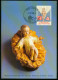 Mk Liechtenstein Maximum Card 1988 MiNr 955 | Christmas, Baby Jesus #max-0007 - Maximumkaarten