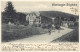 Georgenthal / Germany: Bahnhof Mit Ziegelberg (Vintage PC 1904) - Georgenthal