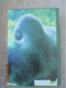 Gorillas In The Mist - Dian Fossey - Houghton Mifflin Company 1983 - Other & Unclassified